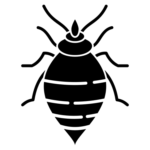 Photo of Bed bugs