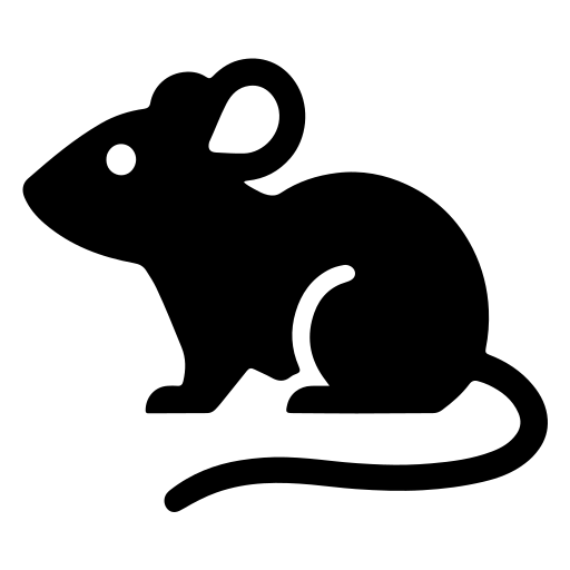 Photo of Rats and Mice